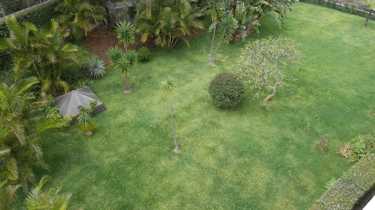 Jasmineiro - Palms Palace Apartment Funchal   Funchal (Madeira)